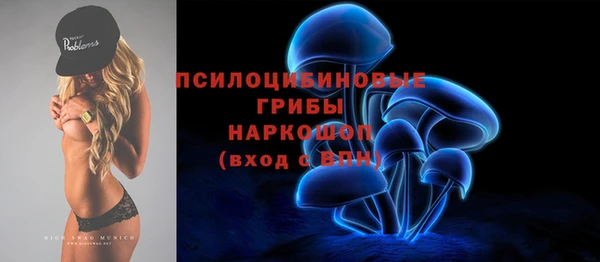 гашик Армянск