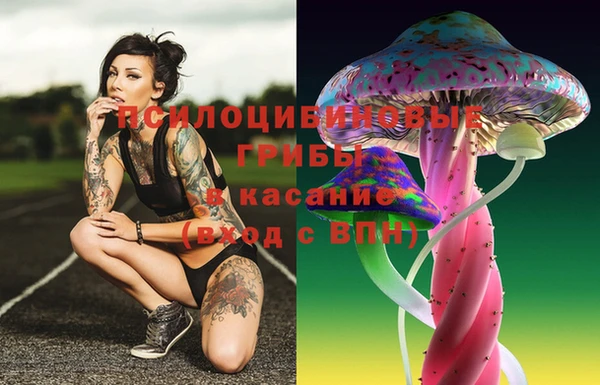 винт Арсеньев