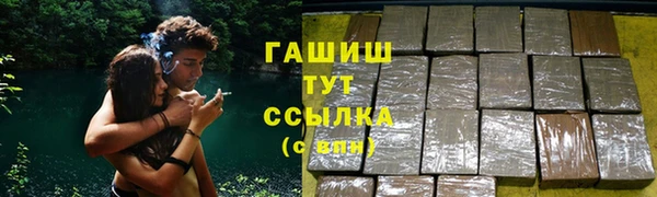 стаф Елизово